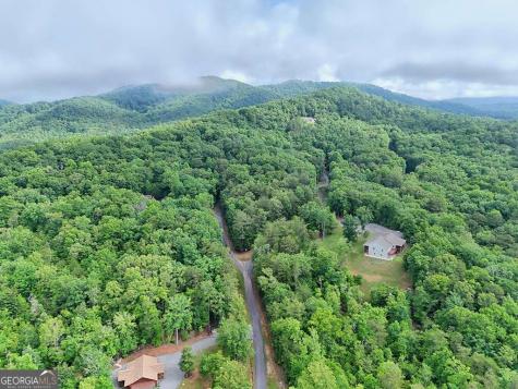 Lt 16,19 Pheasant Trail Warne NC 28909