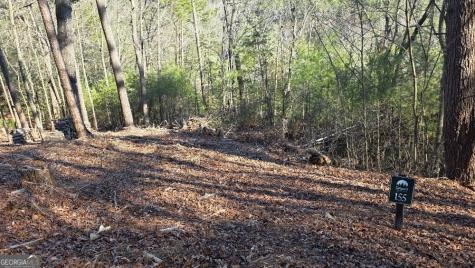 155 Rhondas Way East Ellijay GA 30540