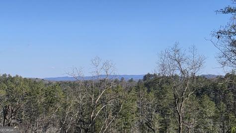 155 Rhondas Way East Ellijay GA 30540