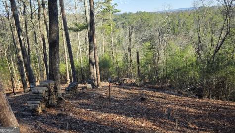 155 Rhondas Way East Ellijay GA 30540