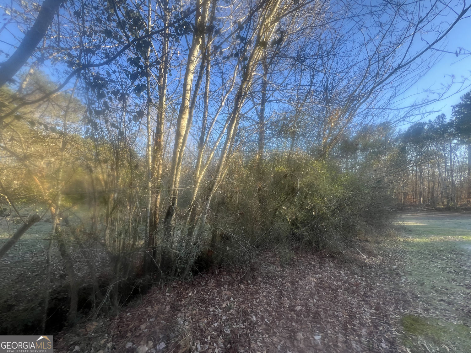 587 E Johnson Street Temple GA 30179