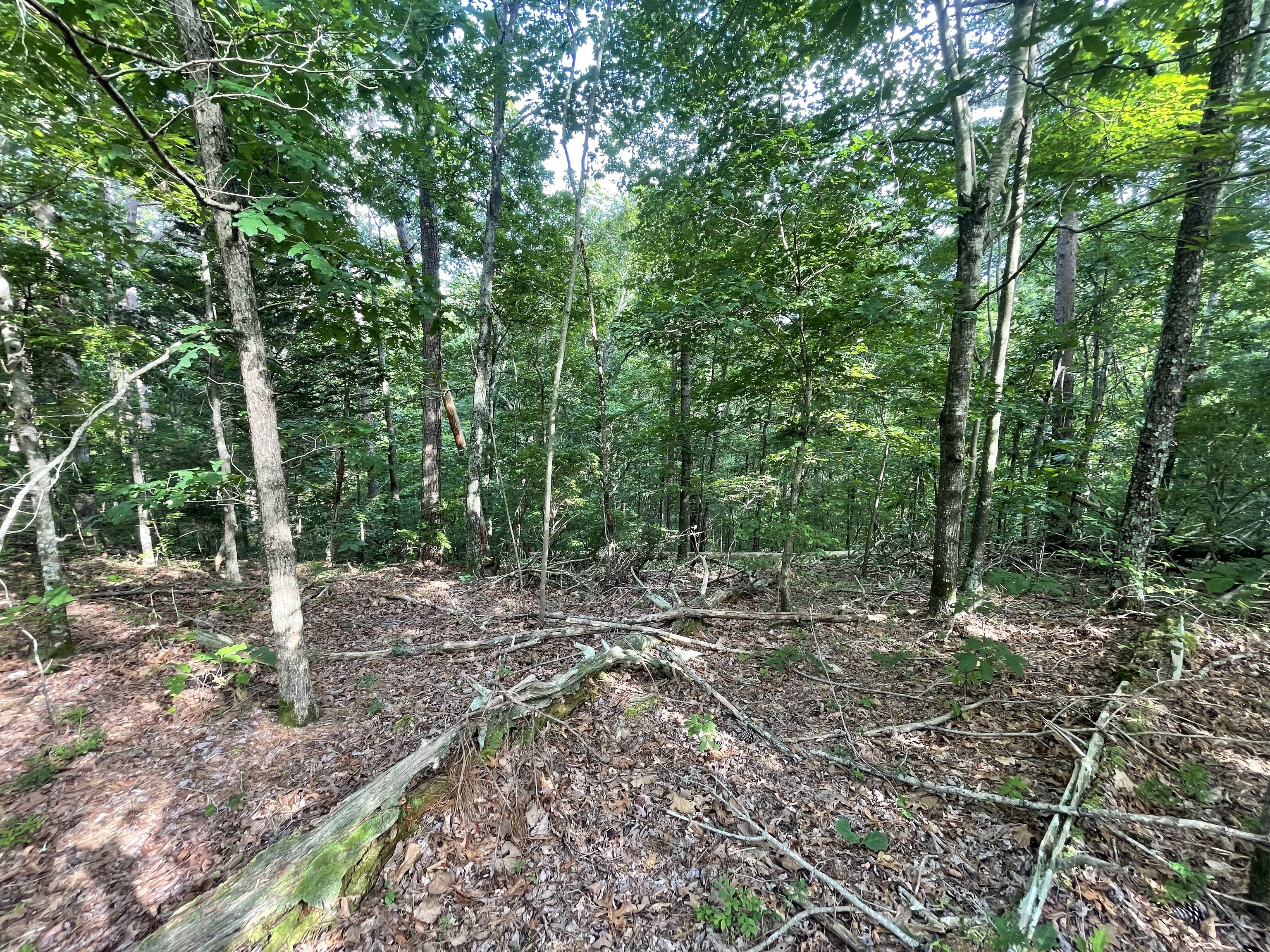 88 Muslin Drive NE Ranger GA 30734