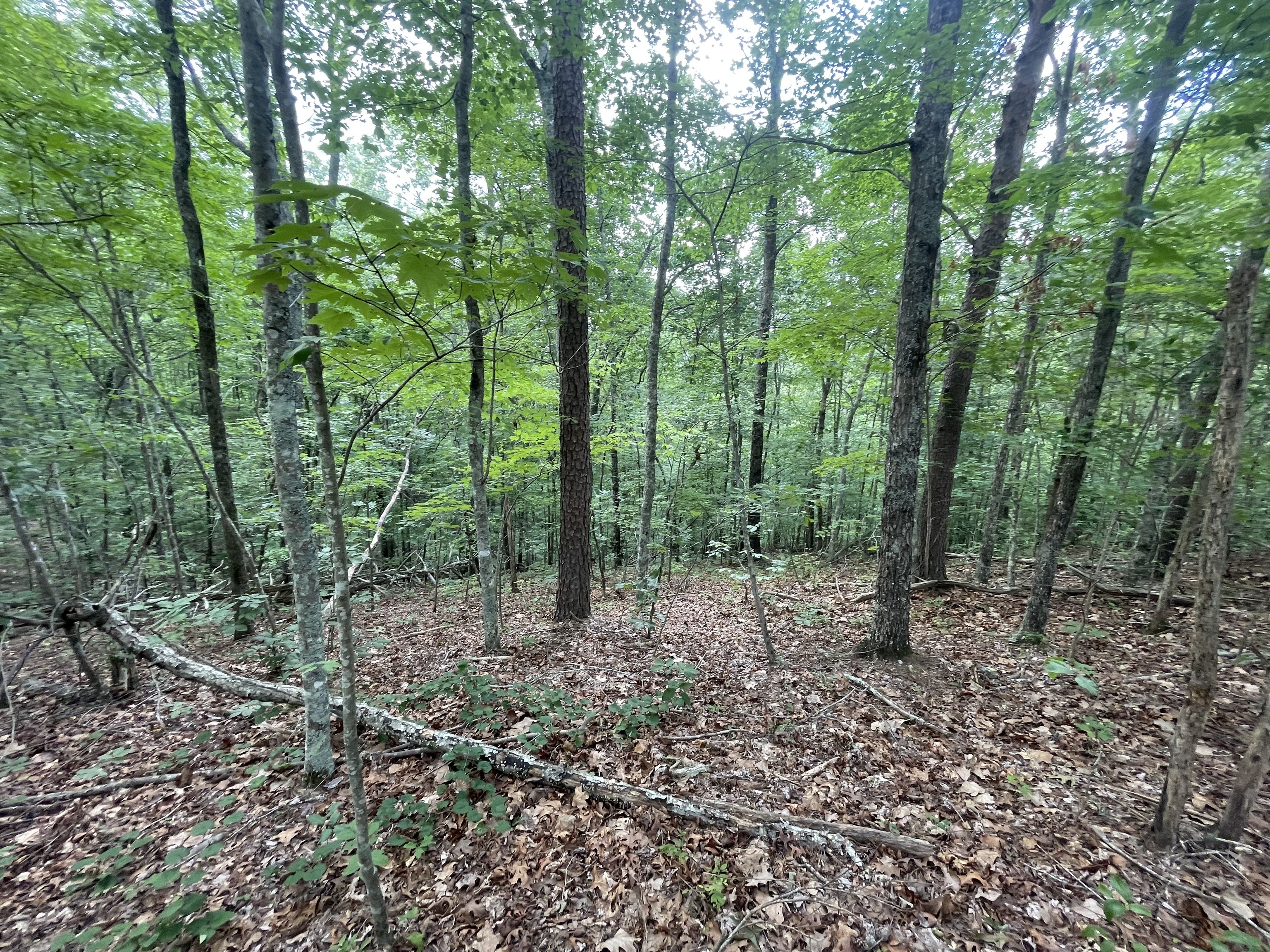 88 Muslin Drive NE Ranger GA 30734