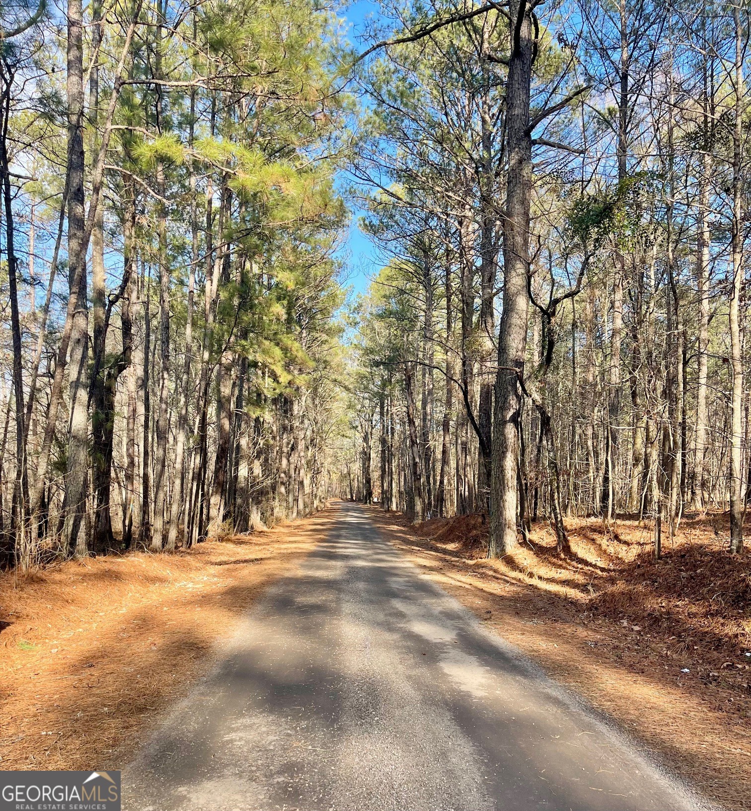 0 Padgett Road Senoia GA 30276