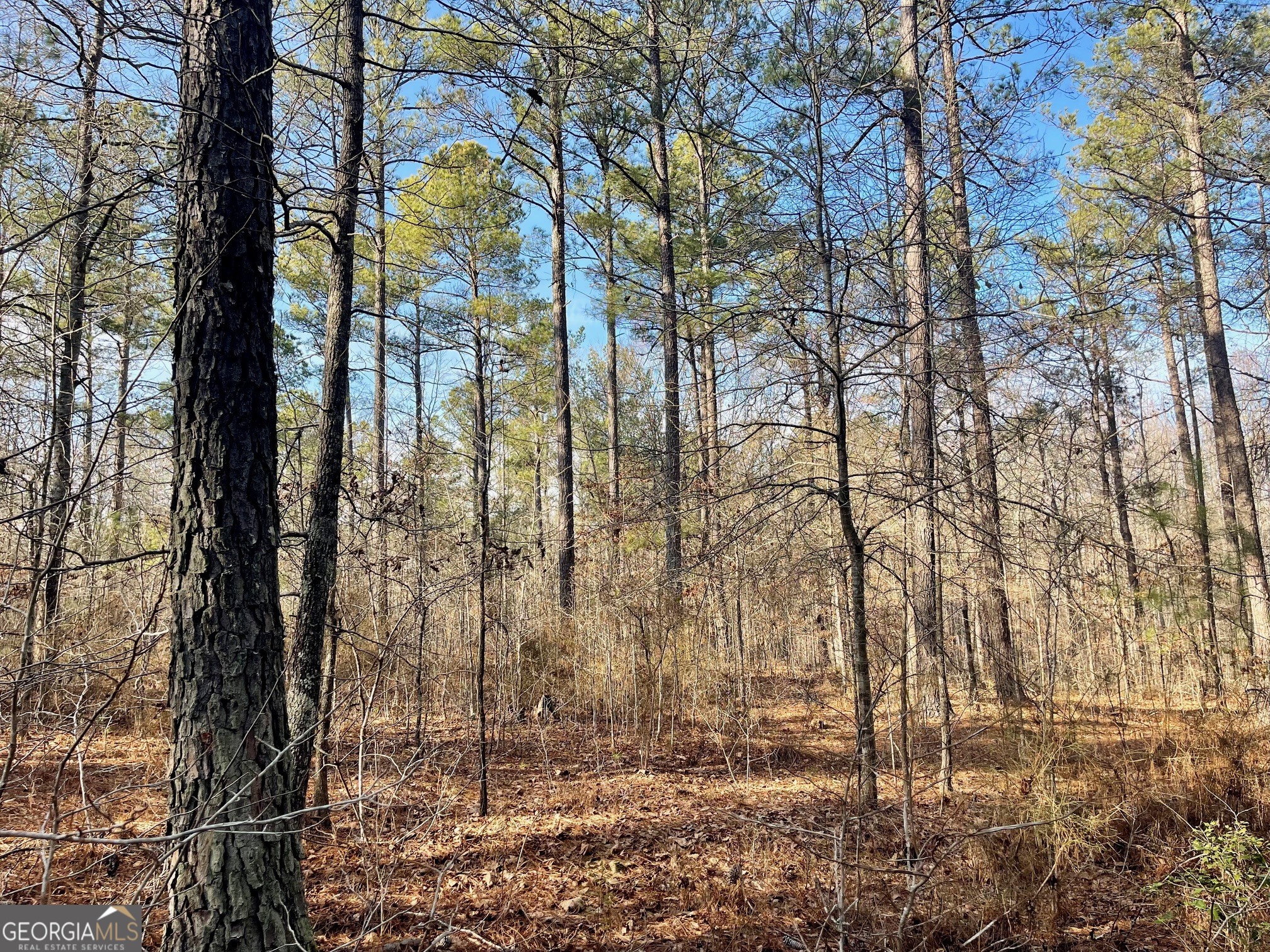 0 Padgett Road Senoia GA 30276