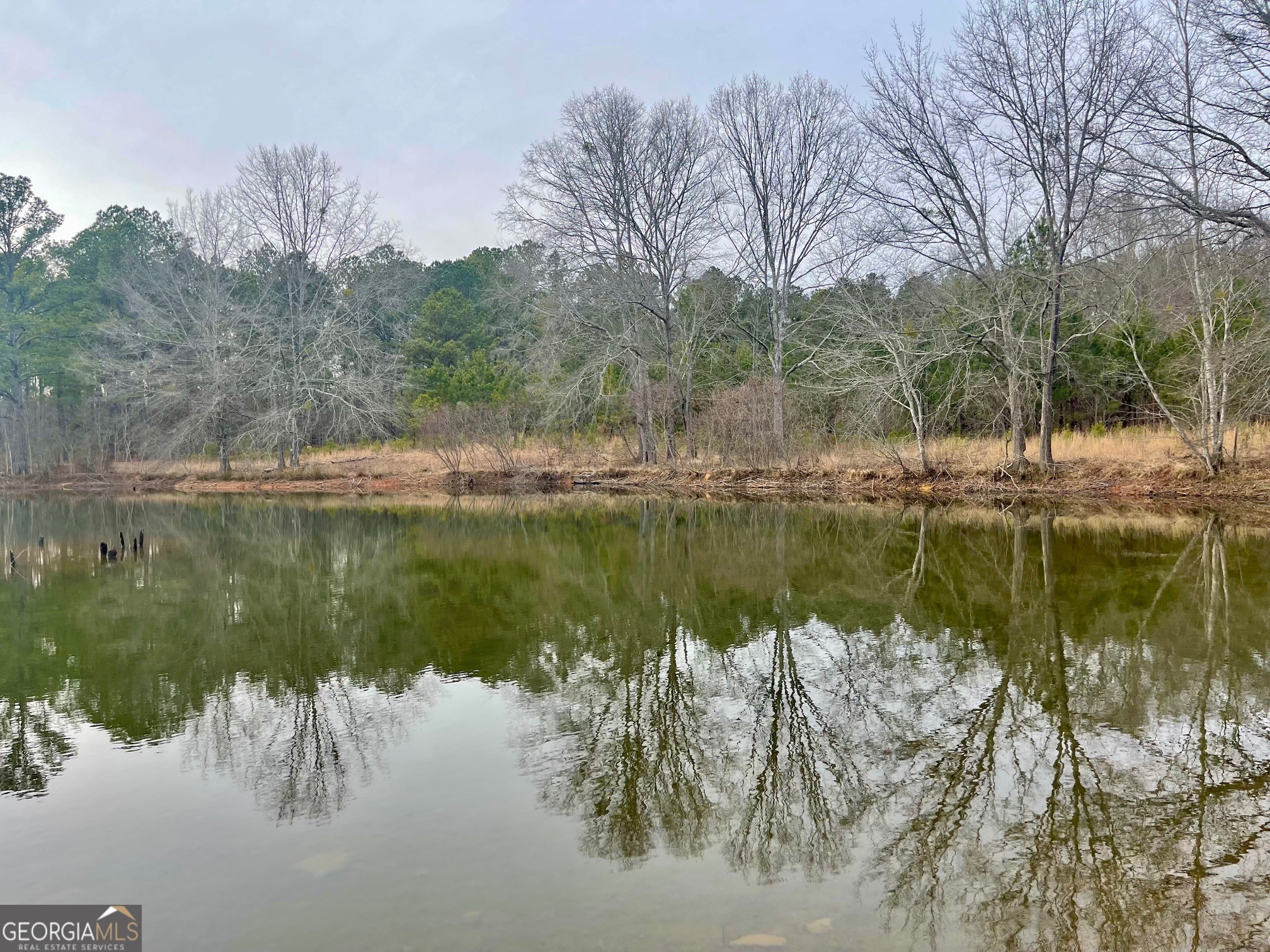 0 Padgett Road Senoia GA 30276