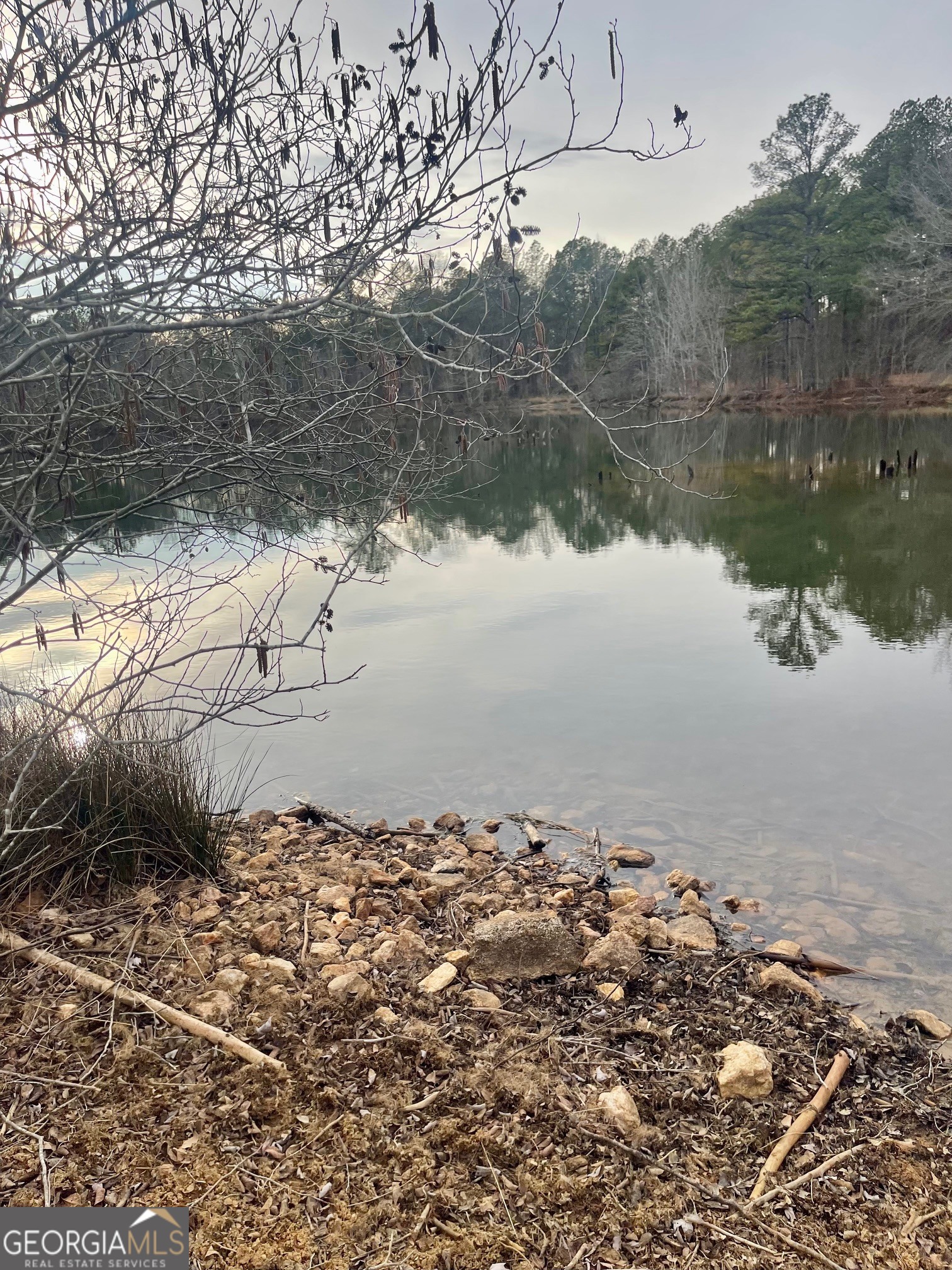 0 Padgett Road Senoia GA 30276