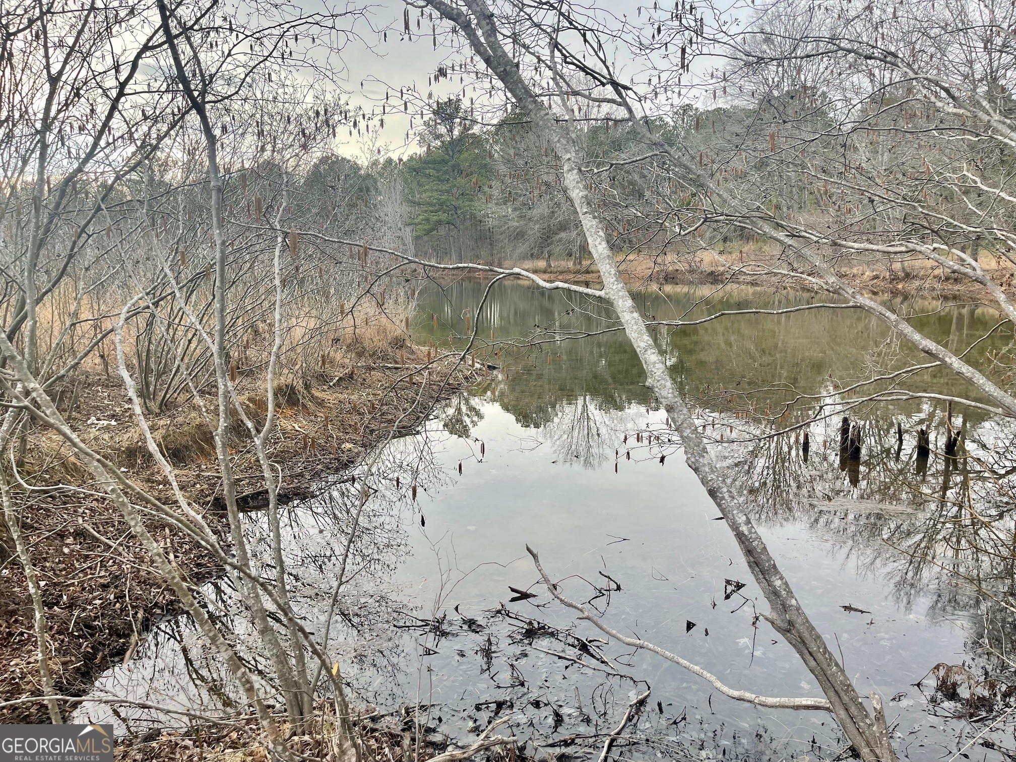 0 Padgett Road Senoia GA 30276