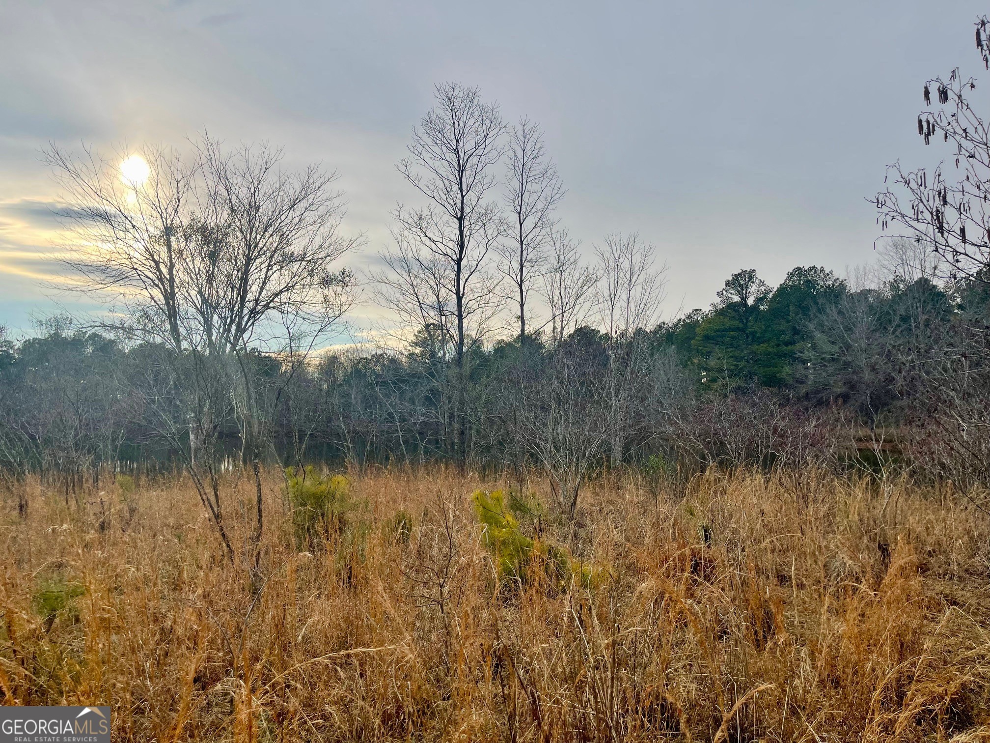 0 Padgett Road Senoia GA 30276