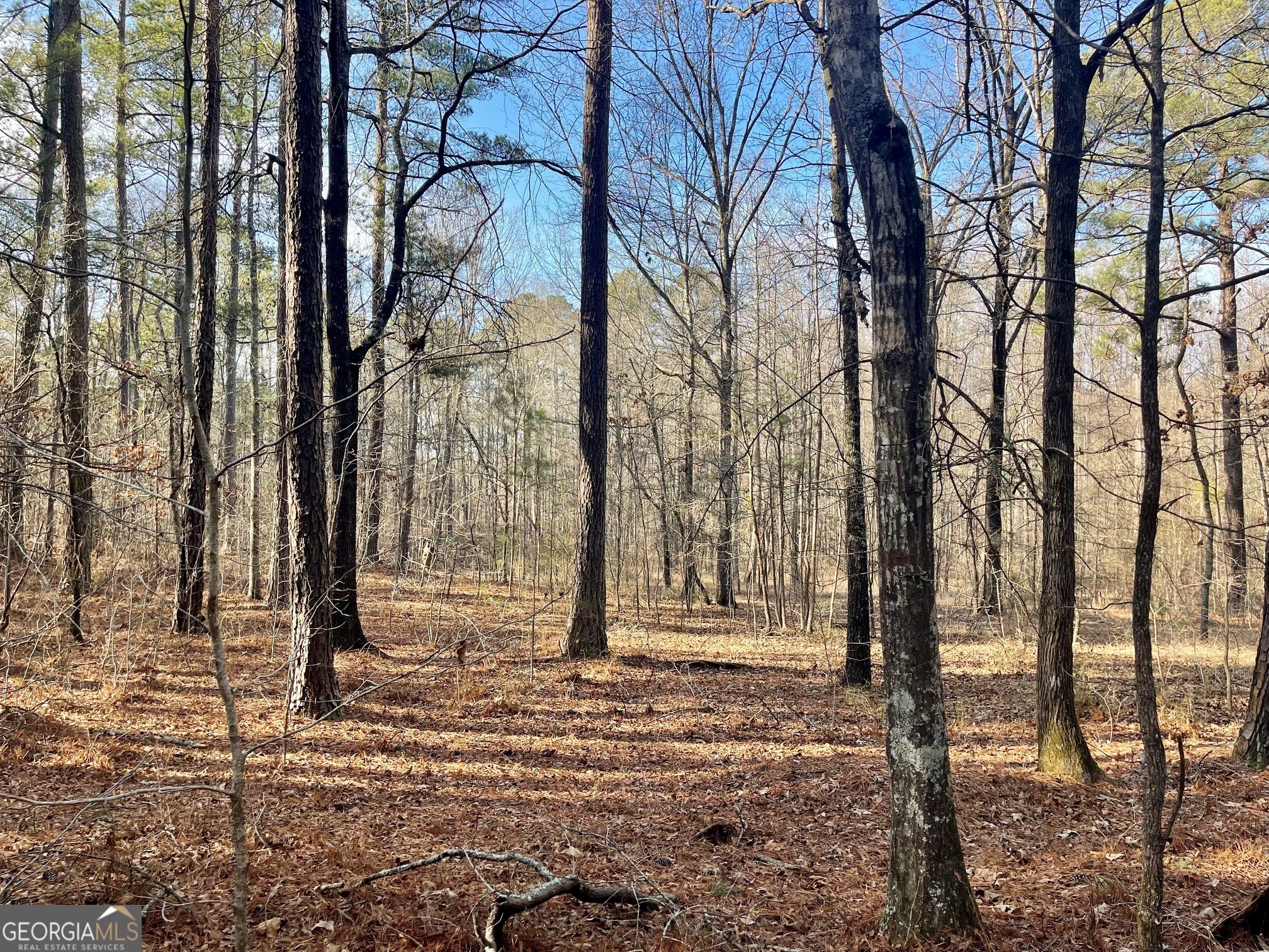 0 Padgett Road Senoia GA 30276