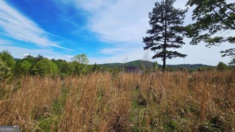 LOT 48 Water Oak Lane Blairsville GA 30512