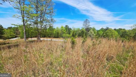 Lot 48 Water Oak Lane Blairsville GA 30512