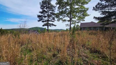 Lot 48 Water Oak Lane Blairsville GA 30512