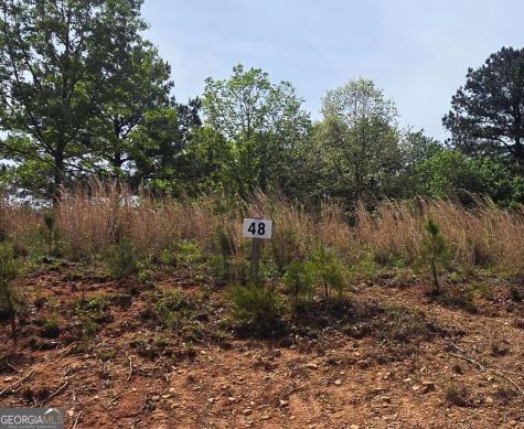 Lot 48 Water Oak Lane Blairsville GA 30512
