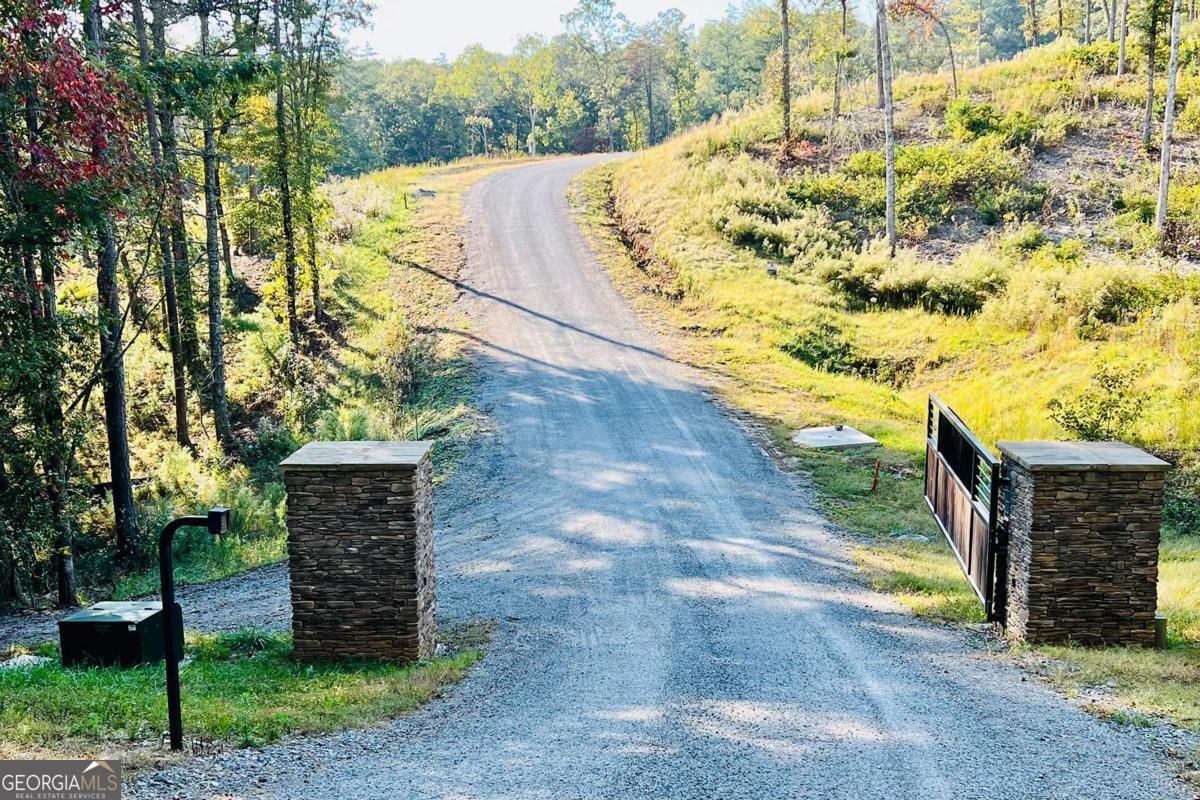 Lot 17 Mountain Laurel Ridge Mineral Bluff GA 30559