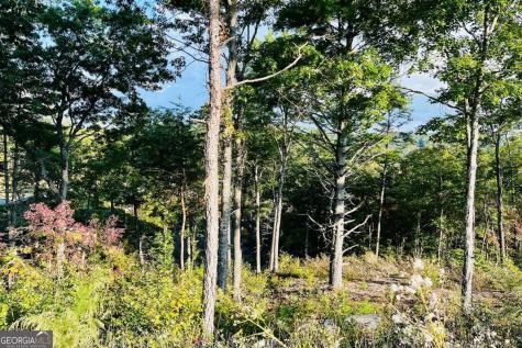 Lot 17 Mountain Laurel Ridge Mineral Bluff GA 30559