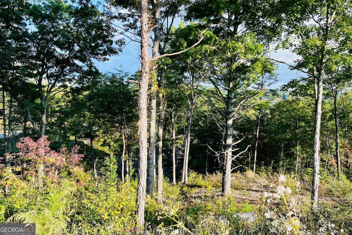 Lot 17 Mountain Laurel Ridge Mineral Bluff GA 30559
