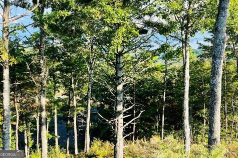 Lot 17 Mountain Laurel Ridge Mineral Bluff GA 30559