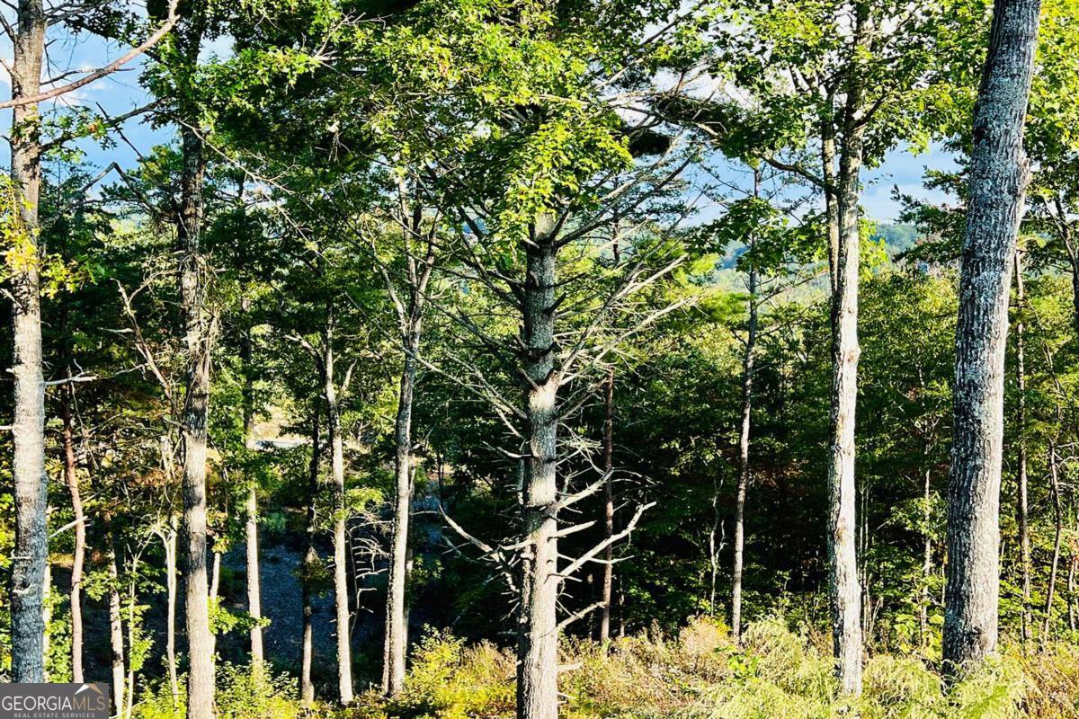 Lot 17 Mountain Laurel Ridge Mineral Bluff GA 30559