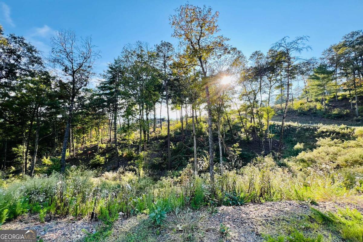 Lot 17 Mountain Laurel Ridge Mineral Bluff GA 30559