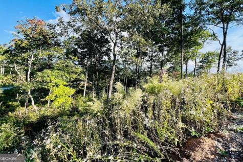 Lot 17 Mountain Laurel Ridge Mineral Bluff GA 30559