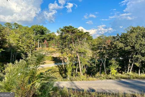 Lot 17 Mountain Laurel Ridge Mineral Bluff GA 30559