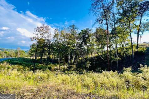 Lot 17 Mountain Laurel Ridge Mineral Bluff GA 30559