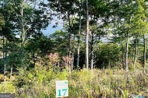 Lot 17 Mountain Laurel Ridge Mineral Bluff GA 30559
