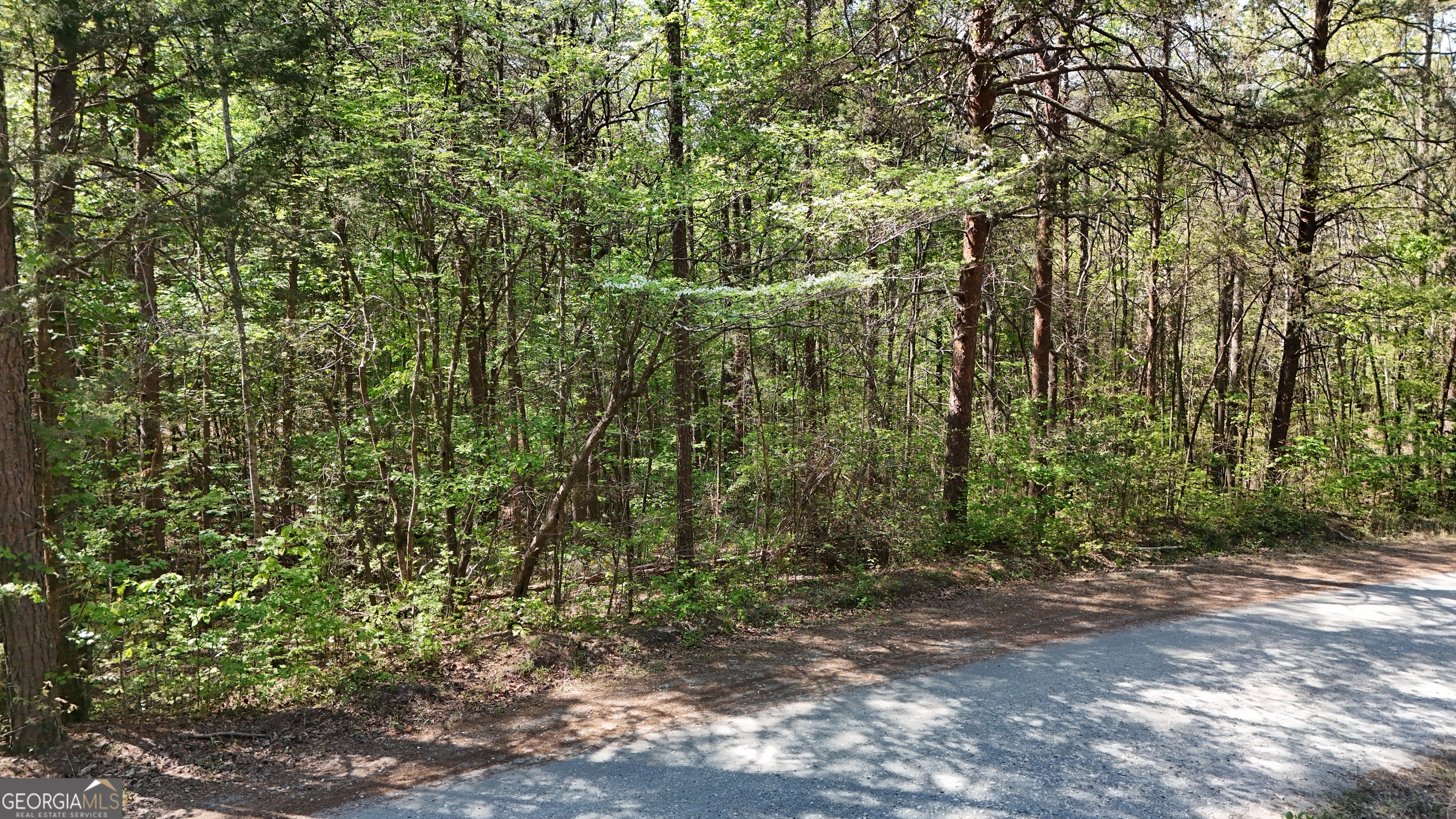 0 Holcomb North Drive Martin GA 30557