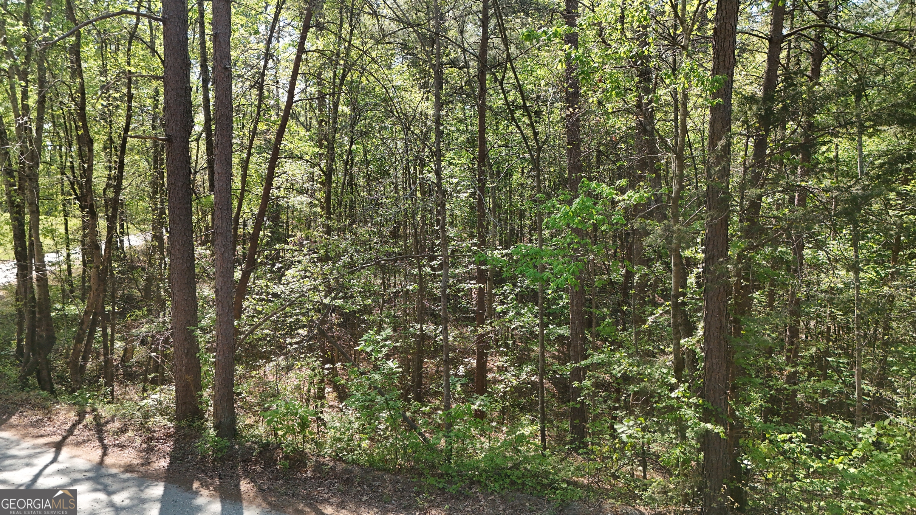 0 Holcomb North Drive Martin GA 30557
