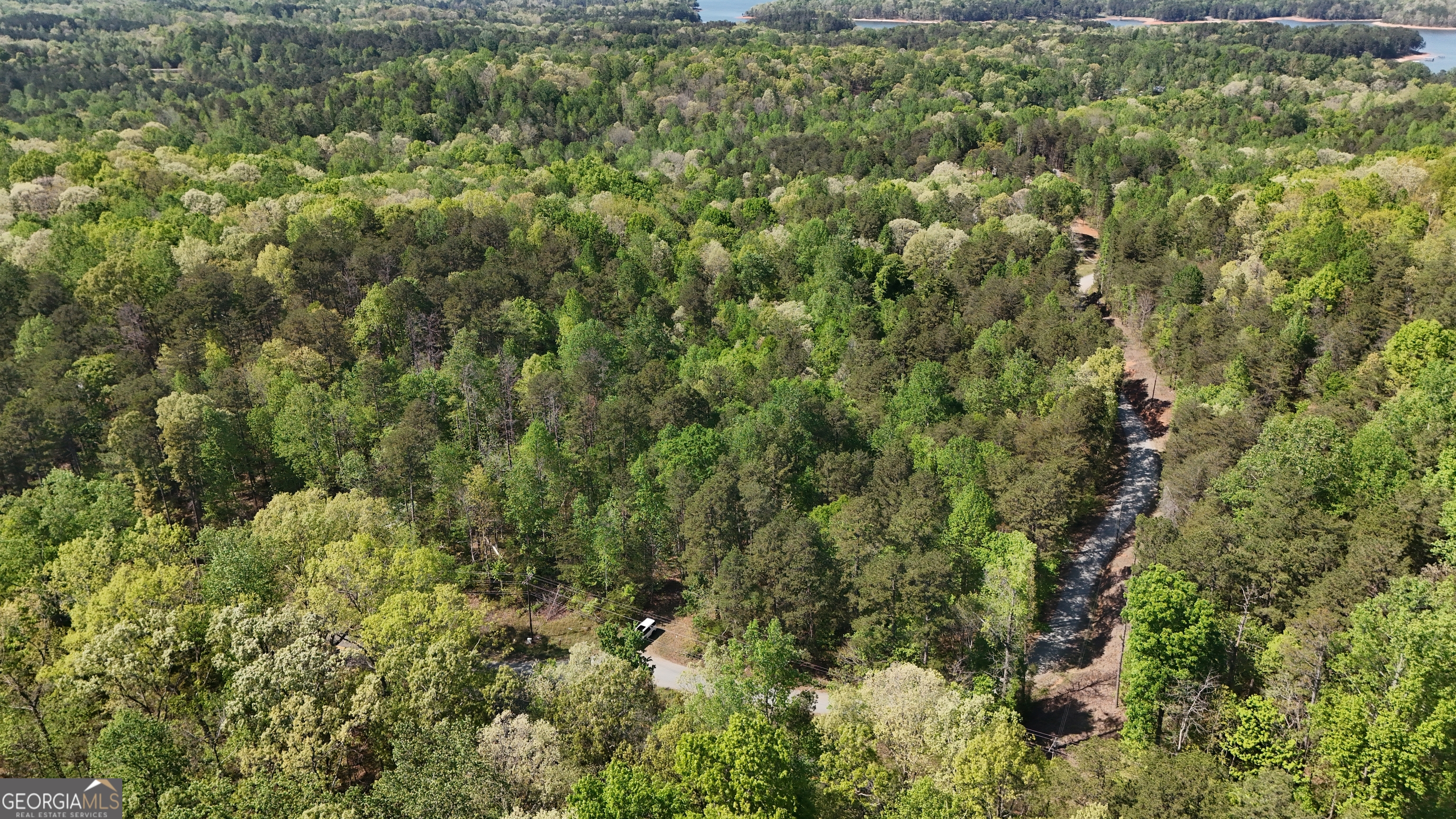 0 Holcomb North Drive Martin GA 30557
