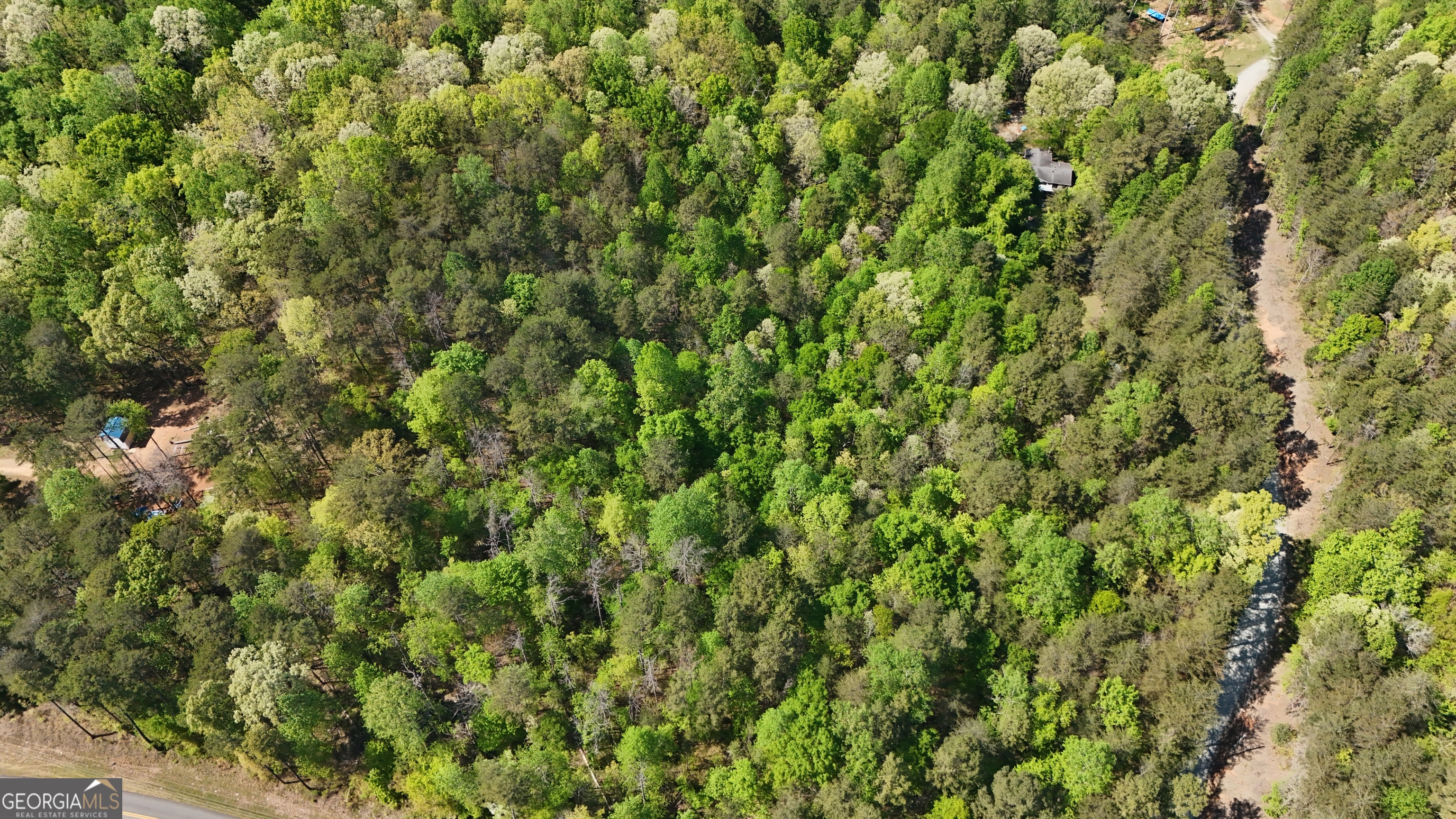 0 Holcomb North Drive Martin GA 30557