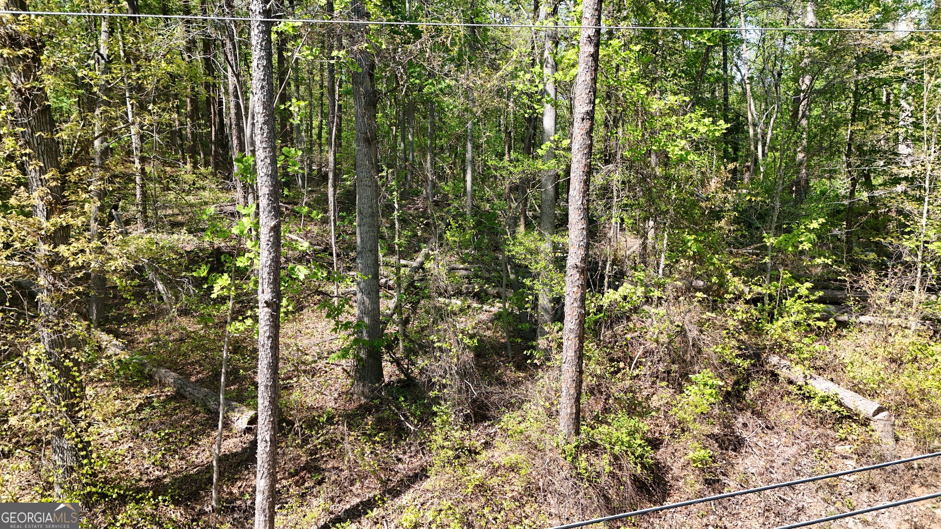 0 Holcomb North Drive Martin GA 30557