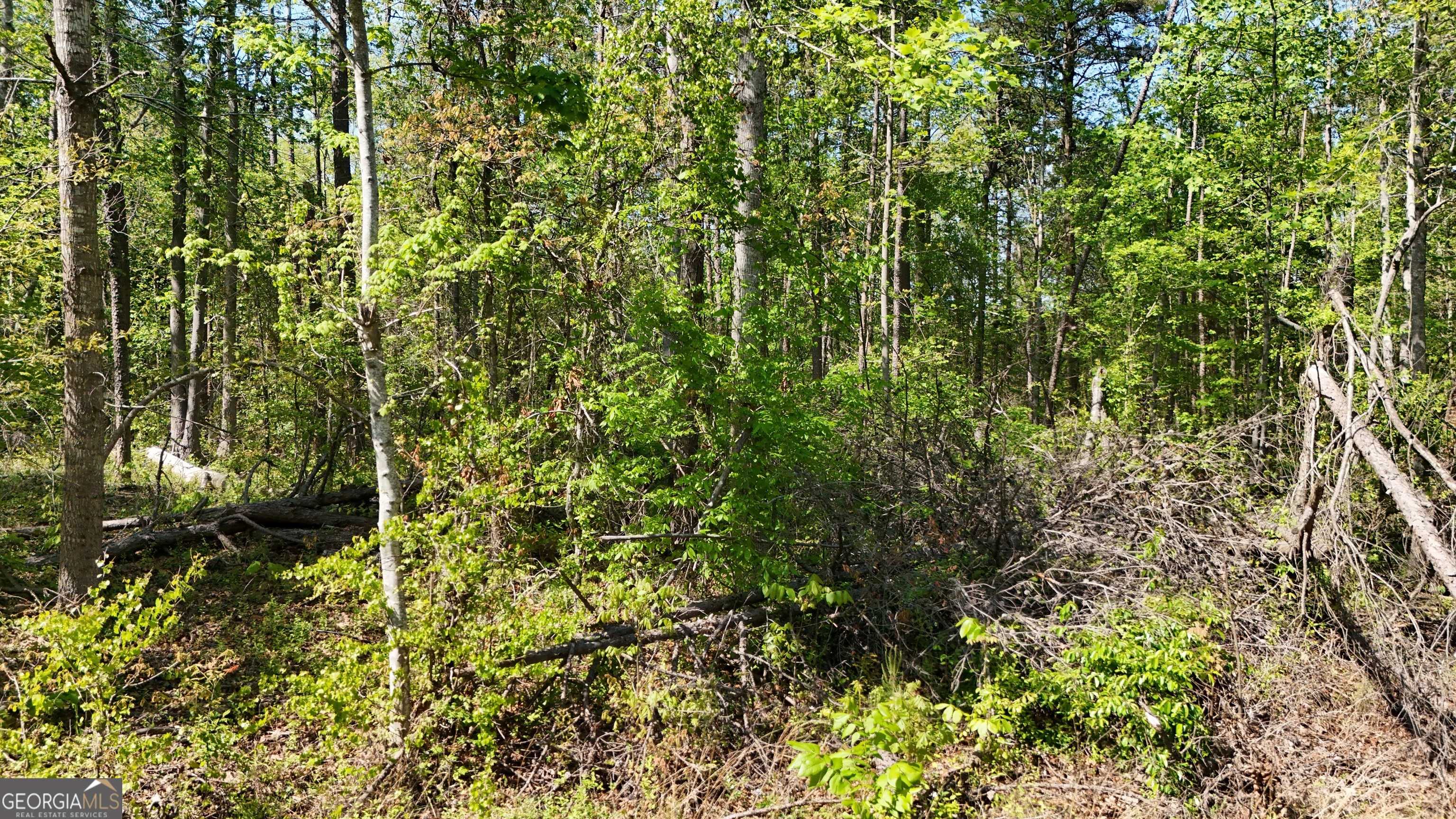 0 Holcomb North Drive Martin GA 30557