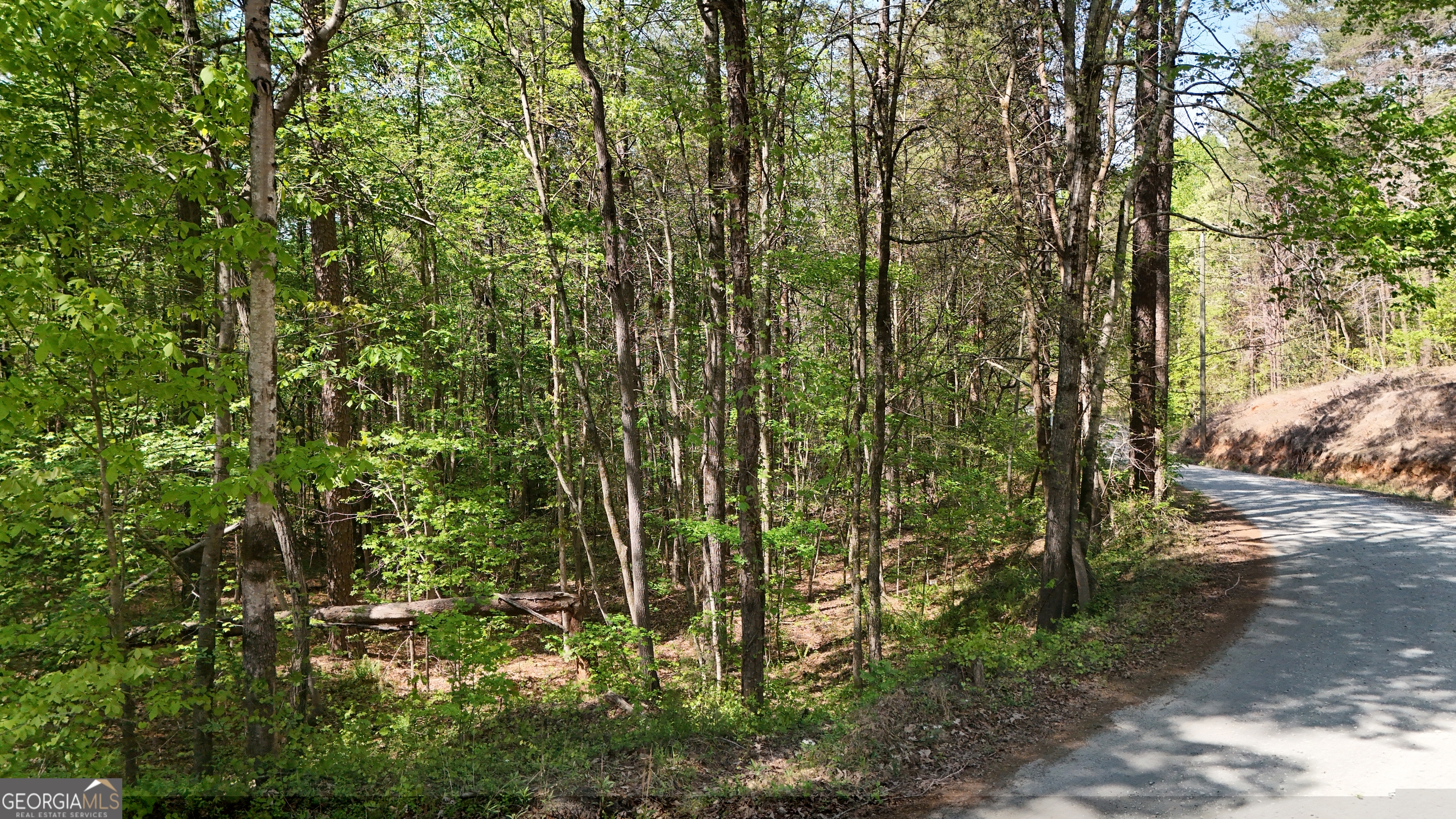 0 Holcomb North Drive Martin GA 30557