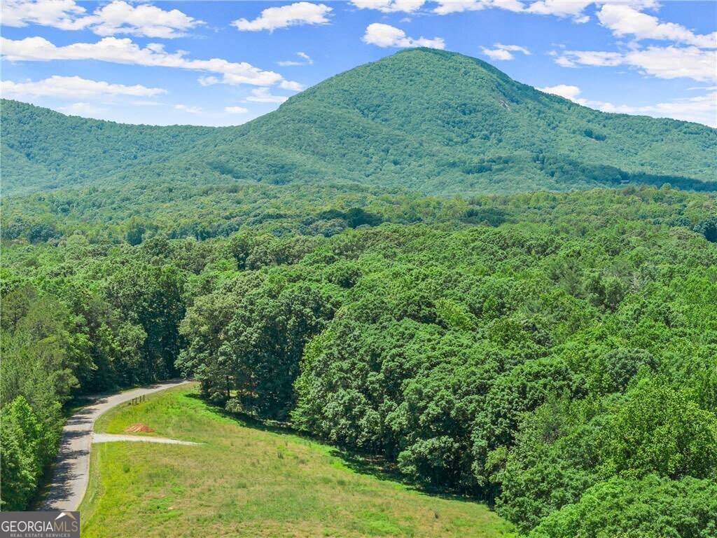 0 Arthur Allen Road, Lot 2 Road Cleveland GA 30528