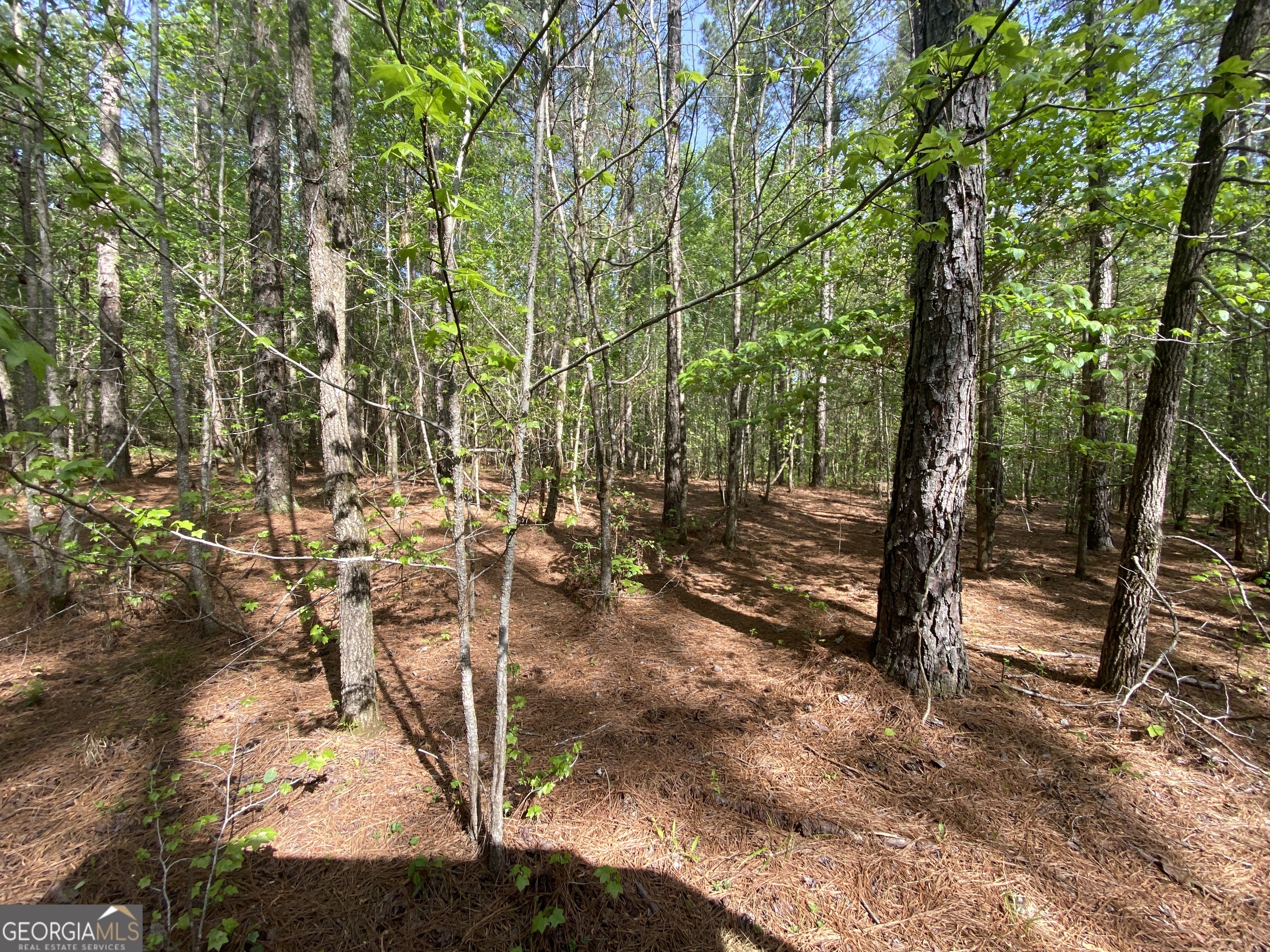 2B Curry Falls Trail Athens GA 30607