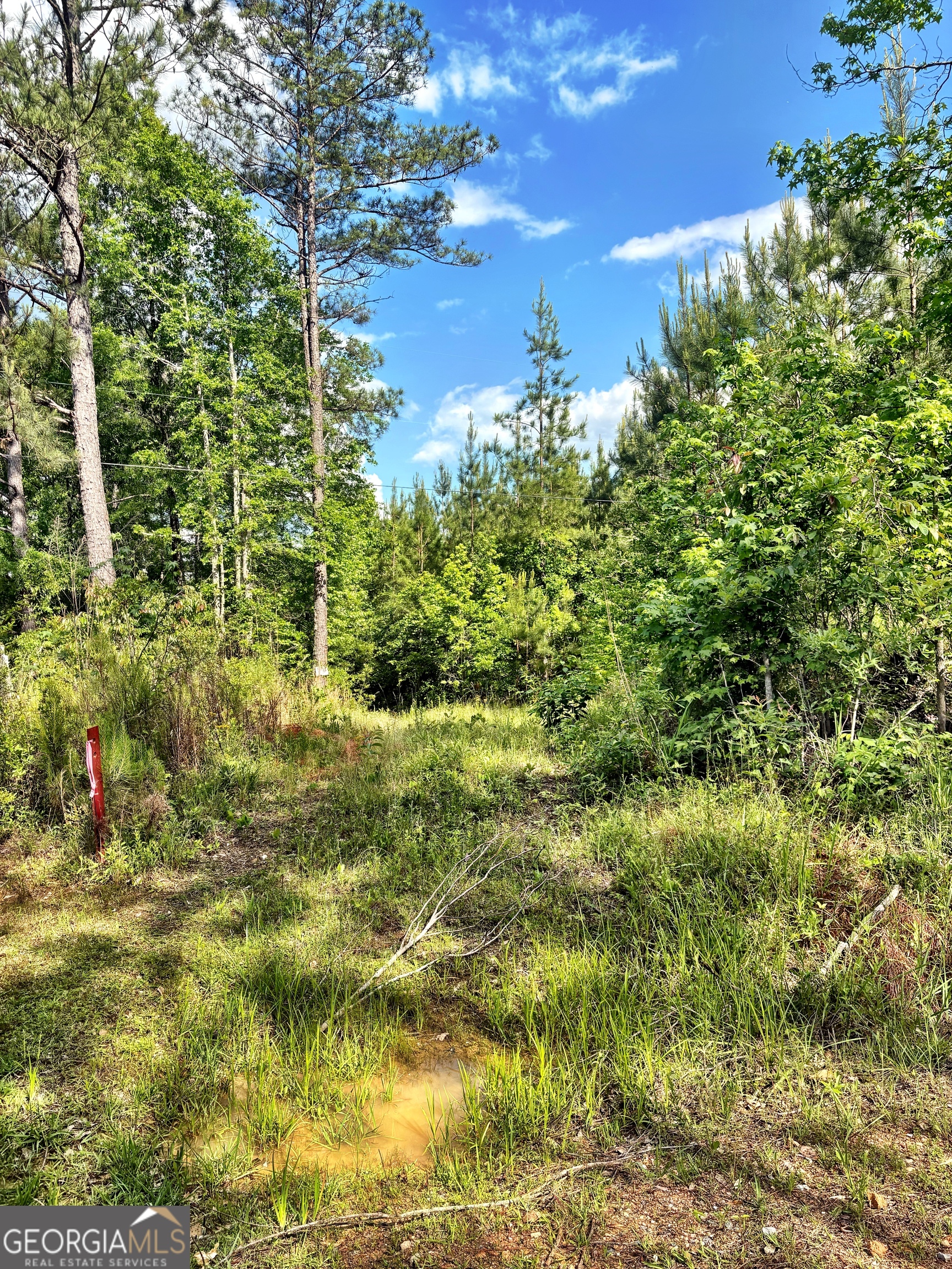 0 Johnson Road Musella GA 31066