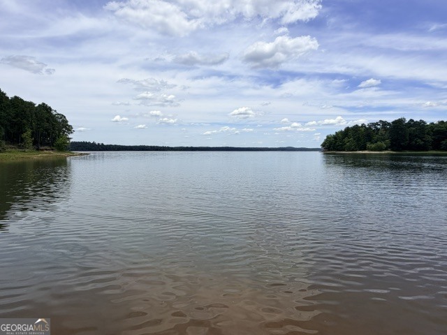 1476 Rock Point Cove Tignall GA 30668