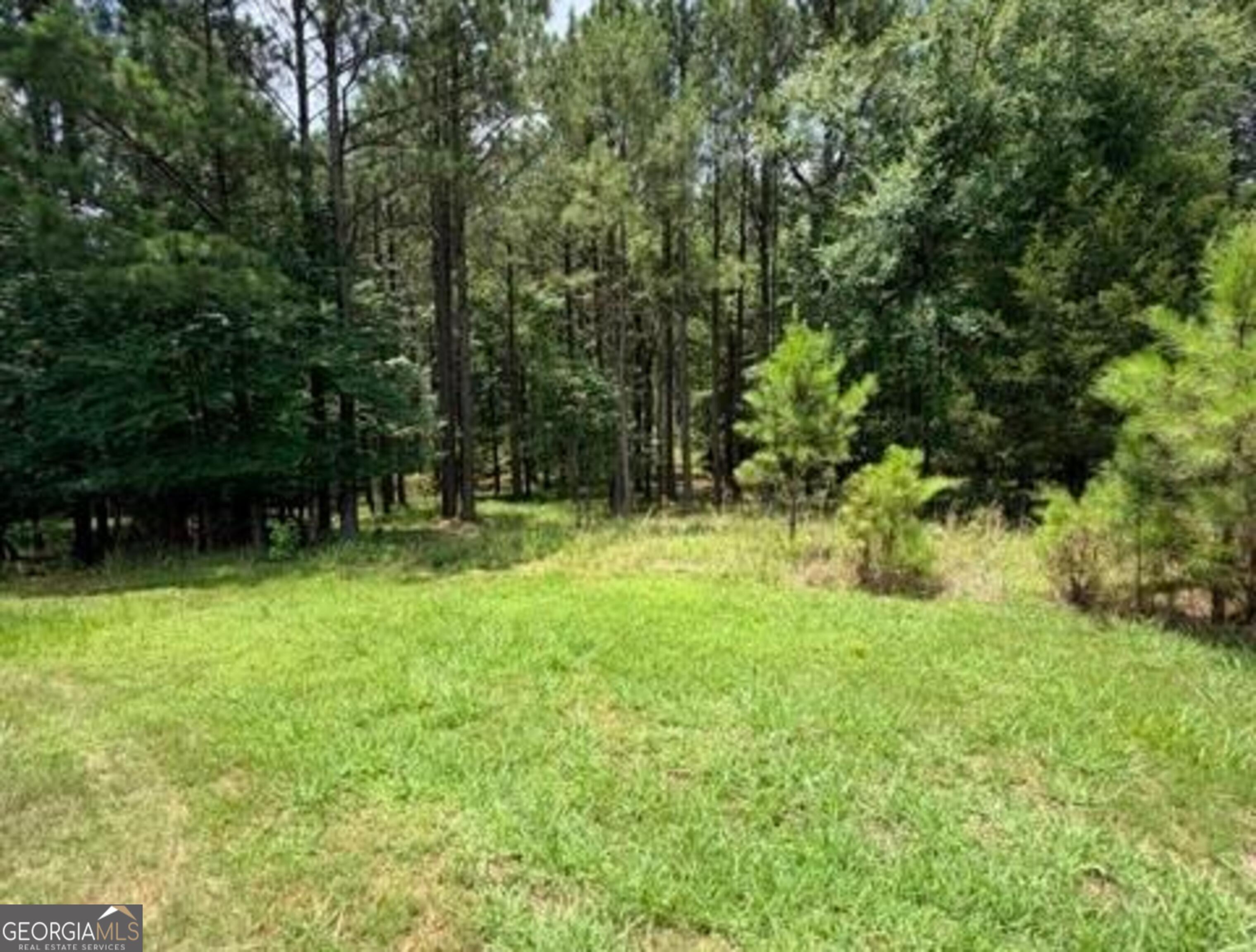 1476 Rock Point Cove Tignall GA 30668