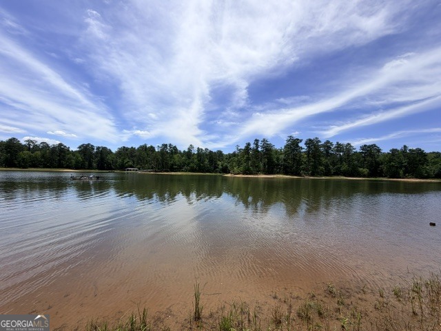 1476 Rock Point Cove Tignall GA 30668