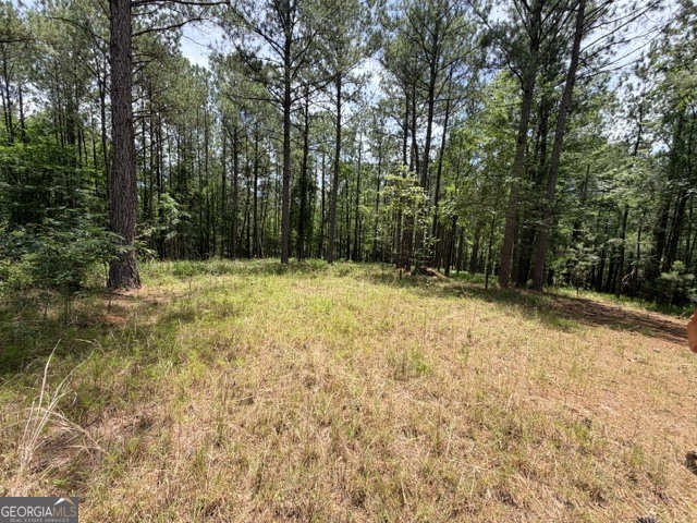 1476 Rock Point Cove Tignall GA 30668