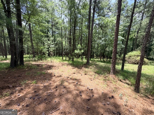 1476 Rock Point Cove Tignall GA 30668