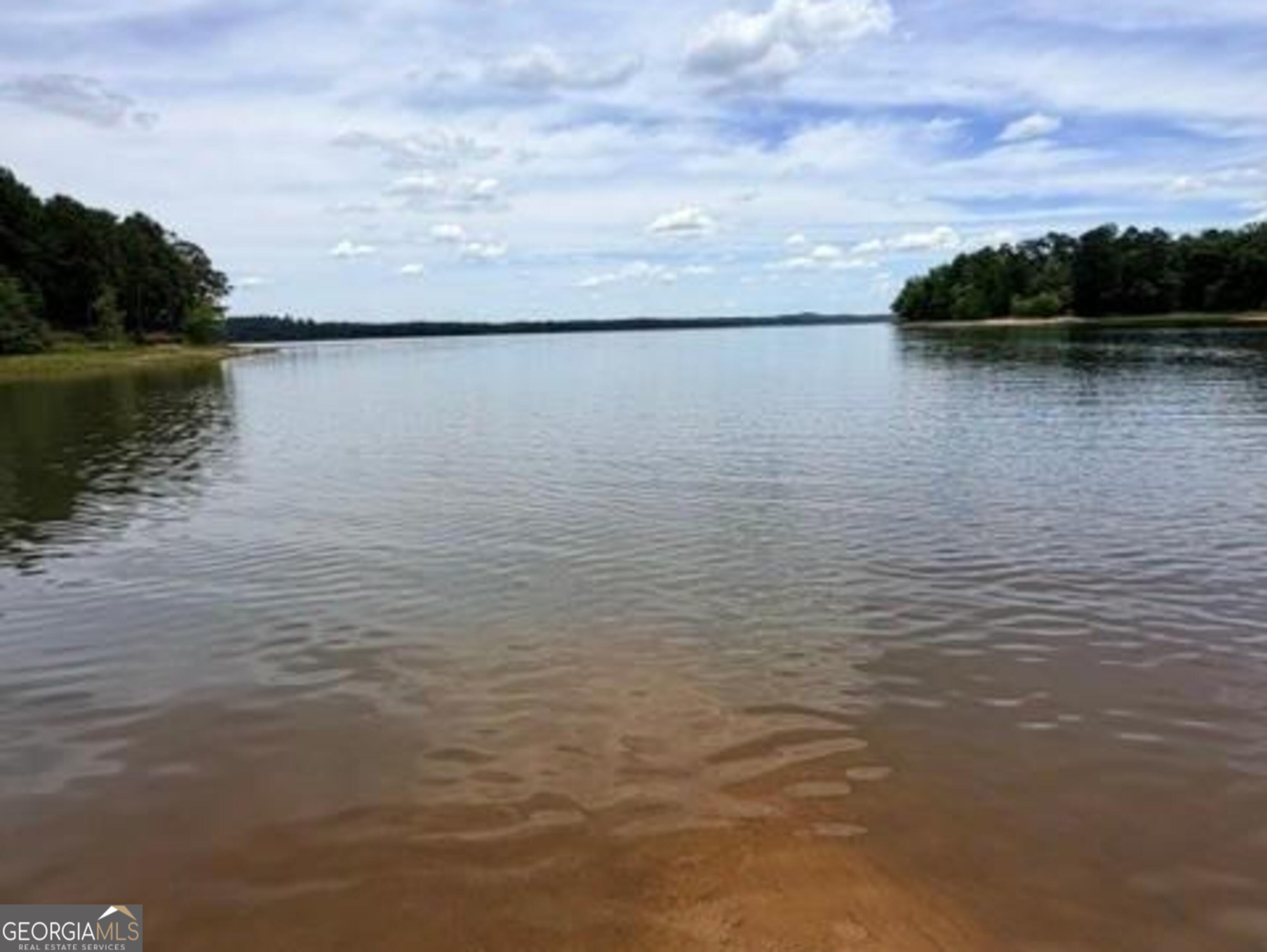 1476 Rock Point Cove Tignall GA 30668