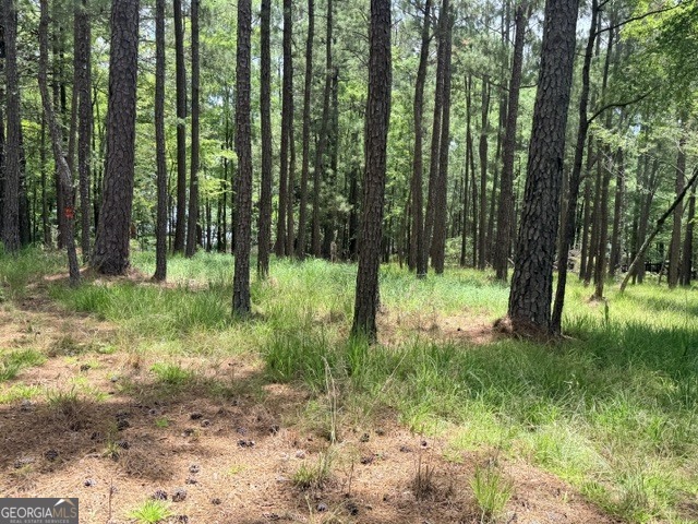 1476 Rock Point Cove Tignall GA 30668