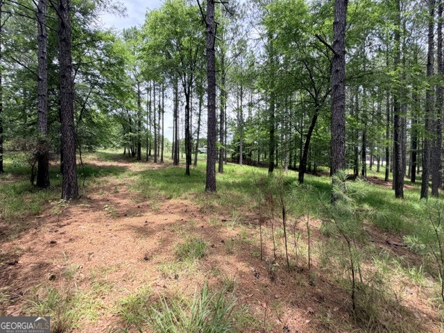 1476 Rock Point Cove Tignall GA 30668