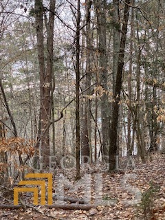 0 Bluff Road Elberton GA 30635
