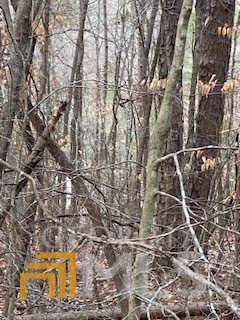 0 Bluff Road Elberton GA 30635
