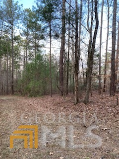 0 Bluff Road Elberton GA 30635