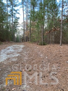 0 Bluff Road Elberton GA 30635